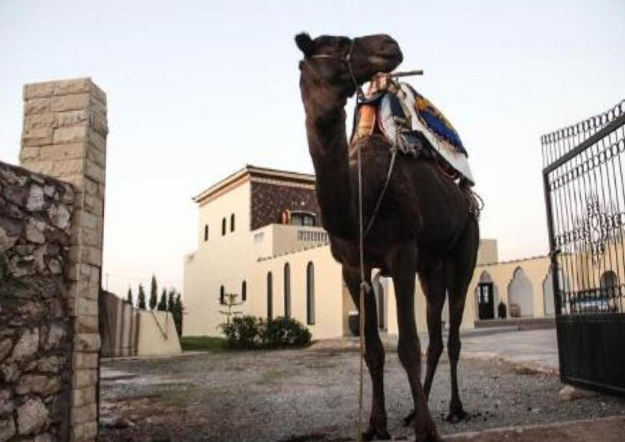 Sidi Kaouki Ayt Karoum Ξενοδοχείο Εξωτερικό φωτογραφία